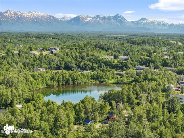 aerial view with a water and mountain view