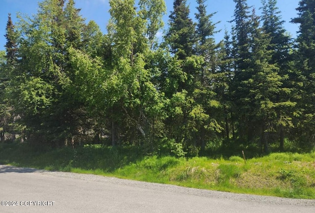 13401 Depalatis Cir, Anchorage AK, 99516 land for sale