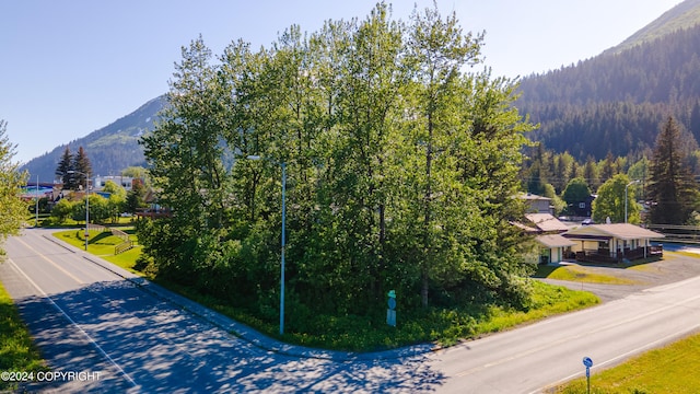 711 Fourth Ave, Seward AK, 99664 land for sale