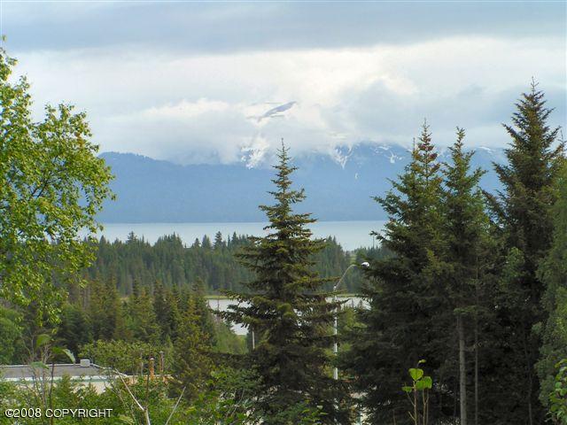 4430 E Hill Rd, Homer AK, 99603 land for sale