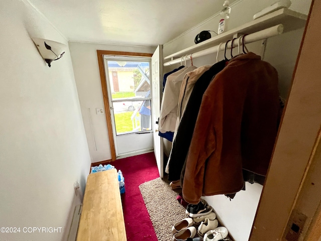 laundry room featuring carpet flooring