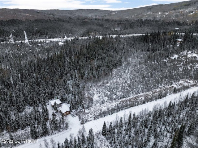 snowy aerial view featuring a mountain view and a view of trees