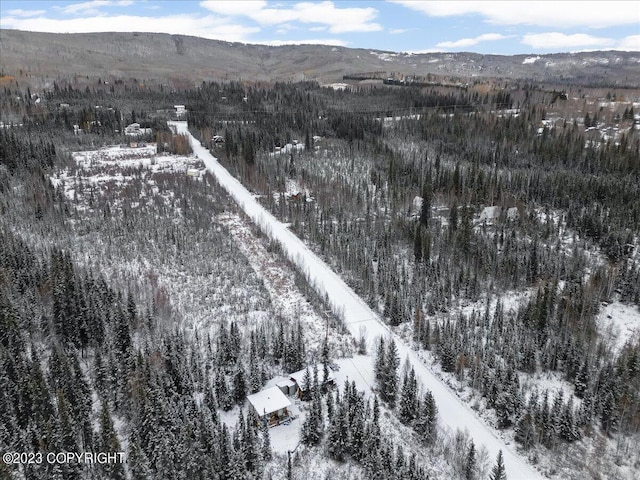 snowy aerial view with a mountain view