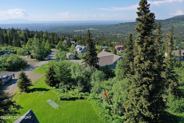 17041 Jacqueline Cir, Anchorage, AK 99516 - aerial view of a forest