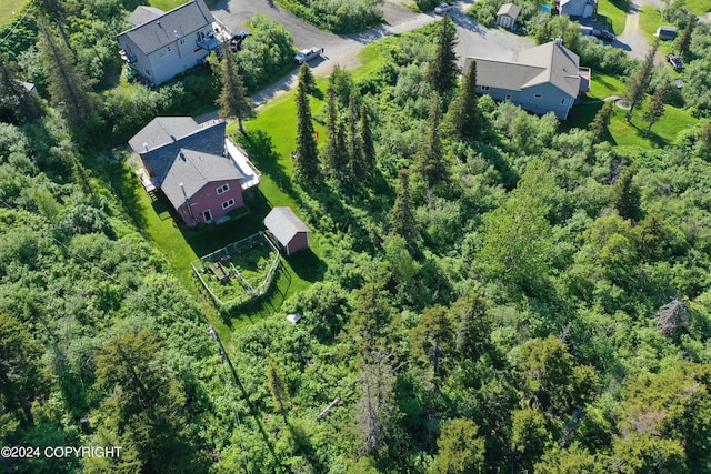 17041 Jacqueline Cir, Anchorage, AK 99516 - aerial view