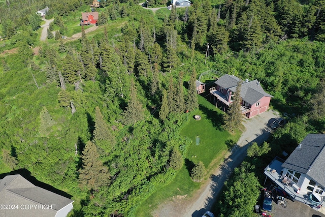 17041 Jacqueline Cir, Anchorage, AK 99516 - view of property location with a heavily wooded area