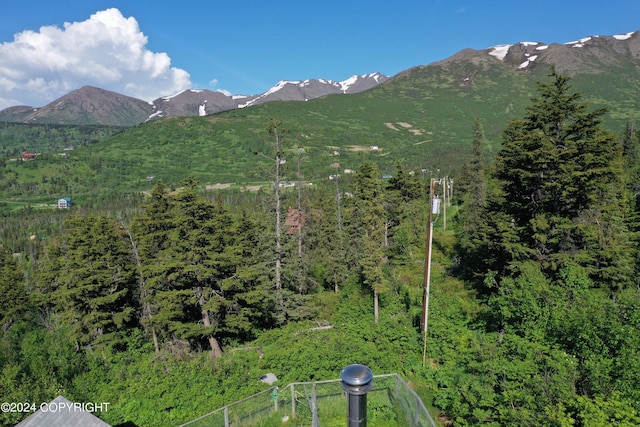 17041 Jacqueline Cir, Anchorage, AK 99516 - view of mountain background with a heavily wooded area