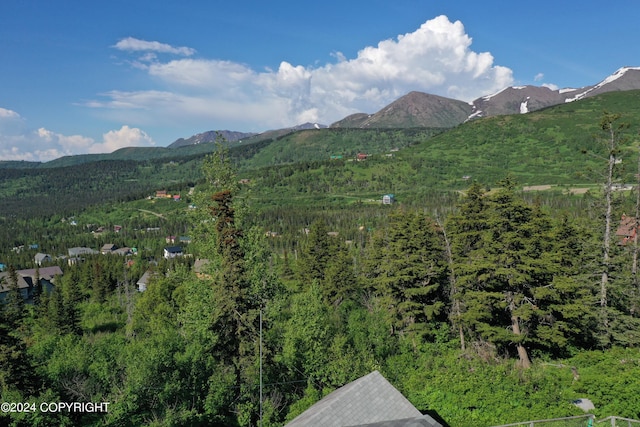 17041 Jacqueline Cir, Anchorage, AK 99516 - view of mountain backdrop with a forest