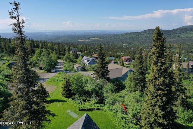 17041 Jacqueline Cir, Anchorage, AK 99516 - bird's eye view of a forest