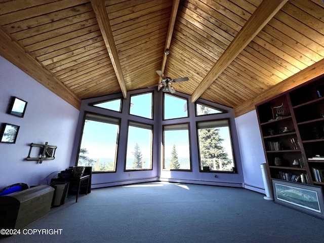 17041 Jacqueline Cir, Anchorage, AK 99516 - unfurnished room featuring wood ceiling, carpet, a ceiling fan, and a baseboard radiator