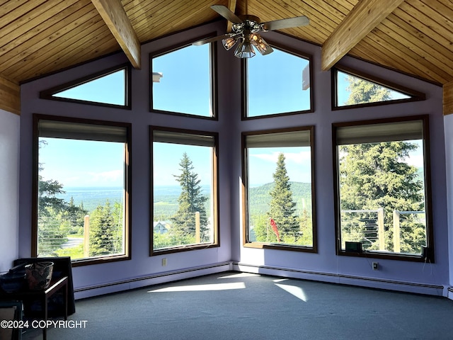 17041 Jacqueline Cir, Anchorage, AK 99516 - unfurnished room with wooden ceiling, carpet, ceiling fan, and a baseboard heating unit