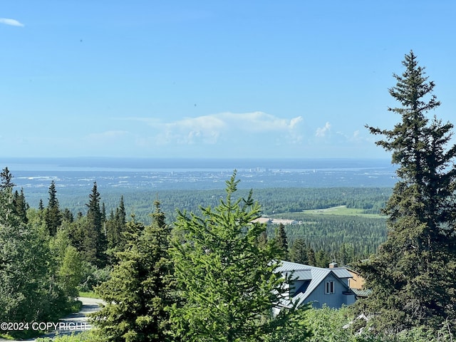 17041 Jacqueline Cir, Anchorage, AK 99516 - water view with a heavily wooded area