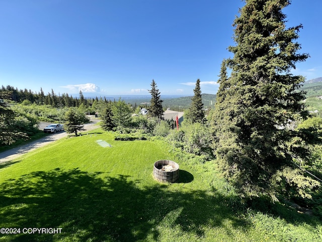17041 Jacqueline Cir, Anchorage, AK 99516 - view of grassy yard
