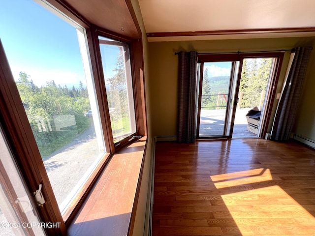 17041 Jacqueline Cir, Anchorage, AK 99516 - empty room featuring wood finished floors and healthy amount of natural light
