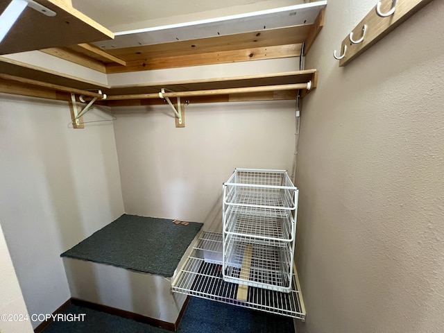 17041 Jacqueline Cir, Anchorage, AK 99516 - view of walk in closet