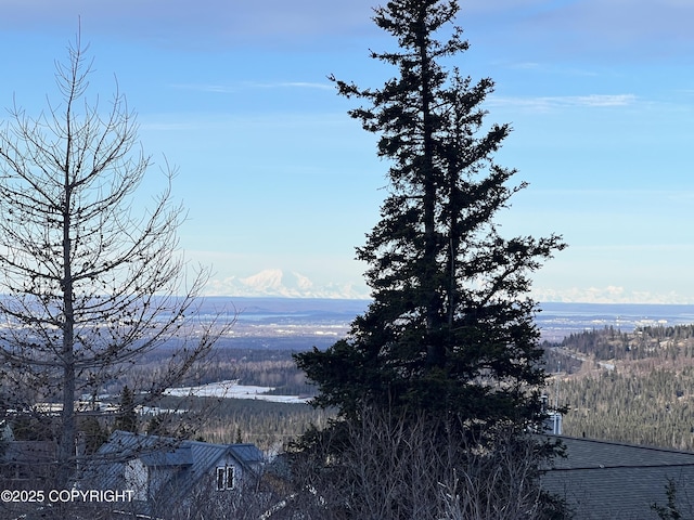 17041 Jacqueline Cir, Anchorage, AK 99516 - mountain view