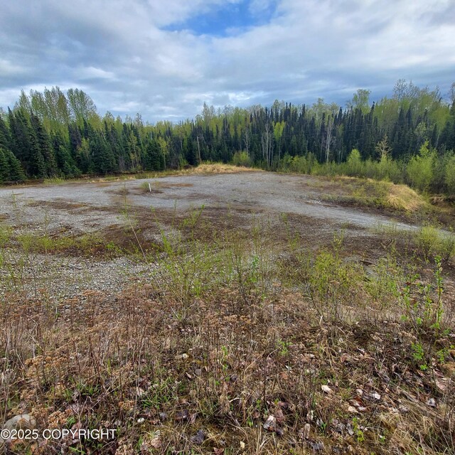 42375 S Parks Hwy, Talkeetna, AK 99676 - photo 7