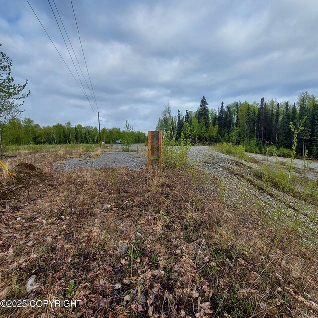 42375 S Parks Hwy, Talkeetna, AK 99676 - photo 5