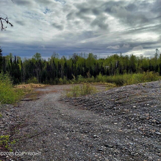 42375 S Parks Hwy, Talkeetna, AK 99676 - photo 6