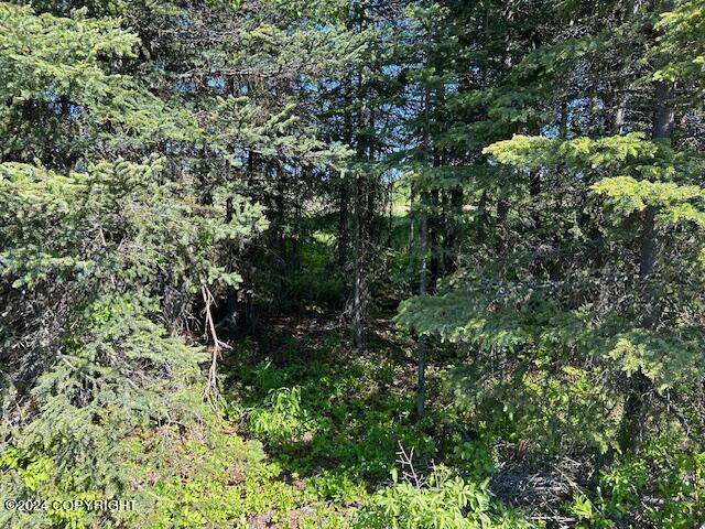 52302 Treasure Chest Ave, Nikiski/North Kenai, AK 99611