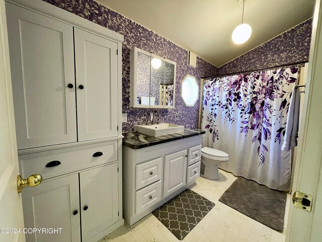 bathroom with toilet, vanity, vaulted ceiling, and walk in shower