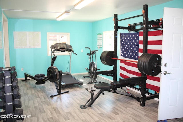 workout room featuring wood-type flooring