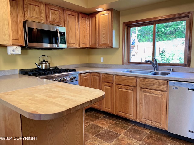 kitchen featuring stainless steel appliances and sink