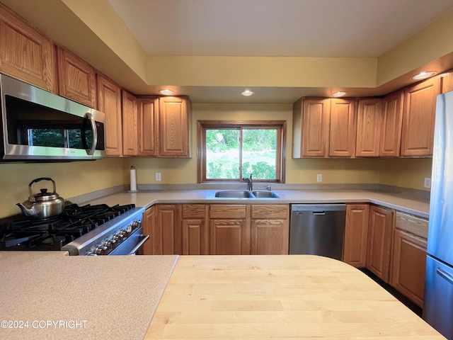 kitchen featuring appliances with stainless steel finishes and sink