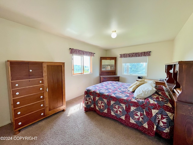 bedroom featuring carpet floors