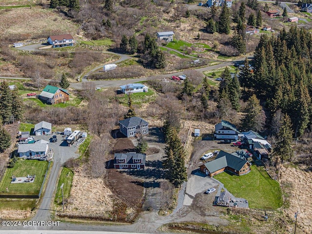 1696 Sterling Hwy, Homer, AK 99603 - photo 6
