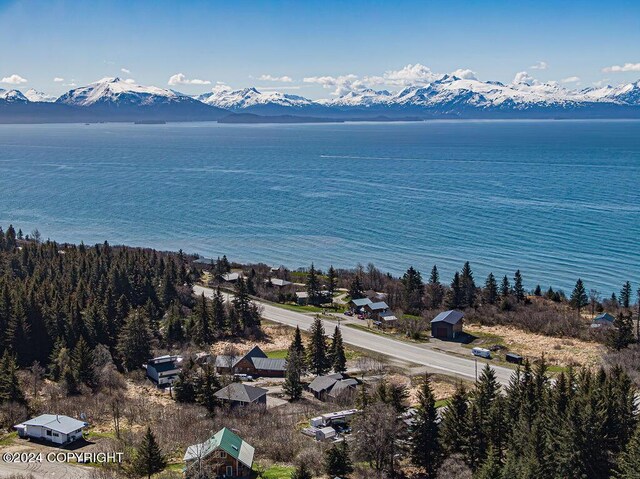 1696 Sterling Hwy, Homer, AK 99603 - photo 9