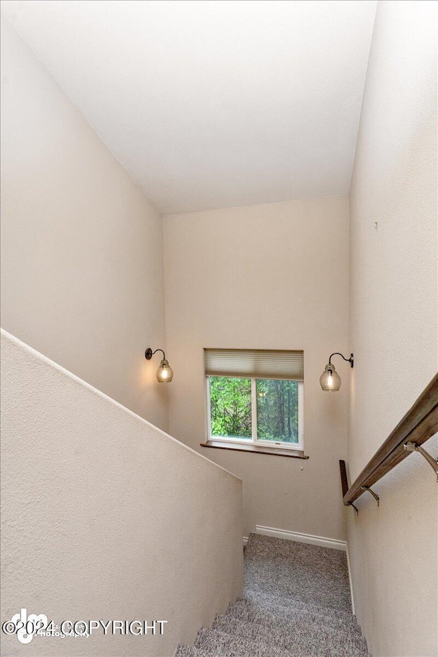 staircase with carpet floors