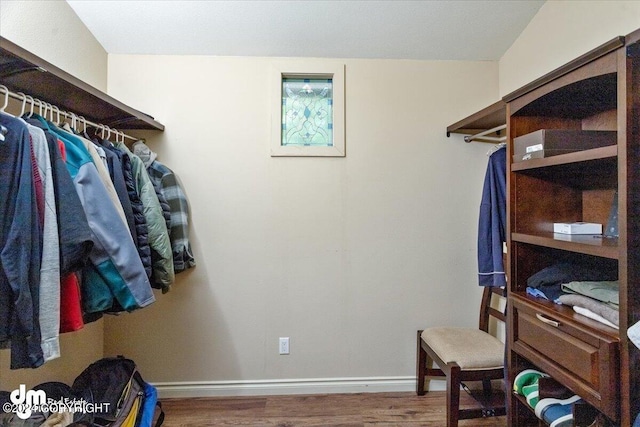 spacious closet featuring hardwood / wood-style flooring