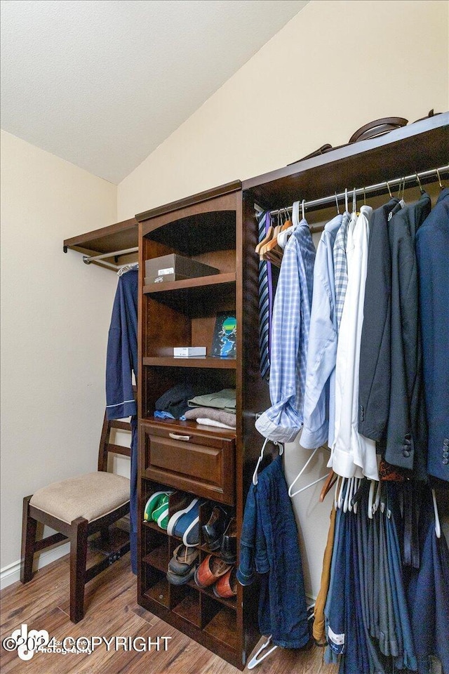 spacious closet featuring vaulted ceiling and wood-type flooring