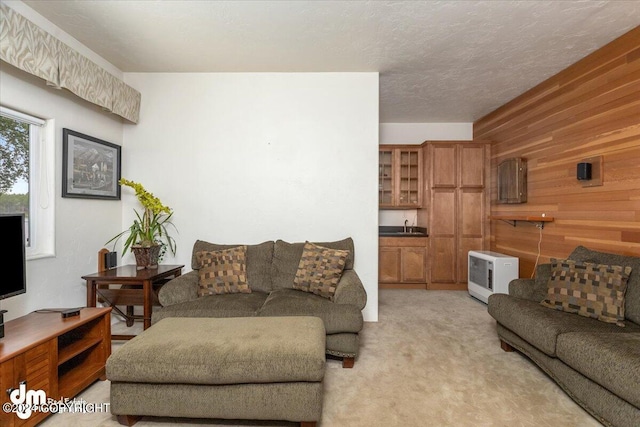 carpeted living room featuring sink, a textured ceiling, and wood walls