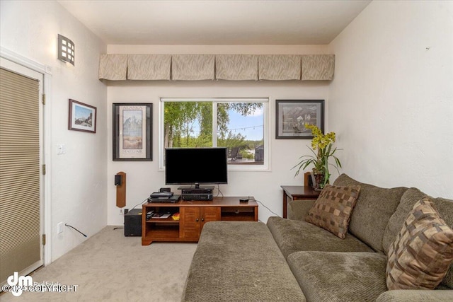 living room with light carpet