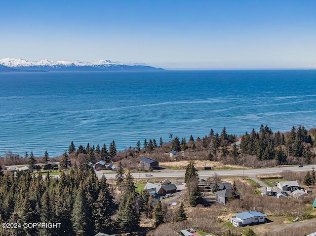 property view of water featuring a mountain view