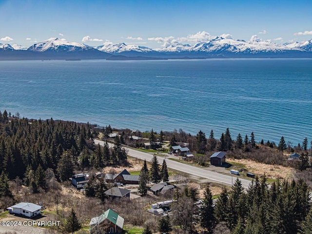 bird's eye view with a water and mountain view