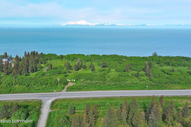 000 Sterling Hwy, Ninilchik AK, 99639 land for sale