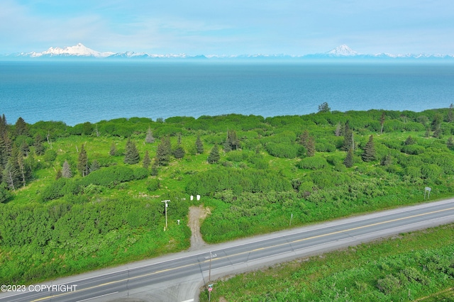 0000 Sterling Hwy, Ninilchik AK, 99639 land for sale