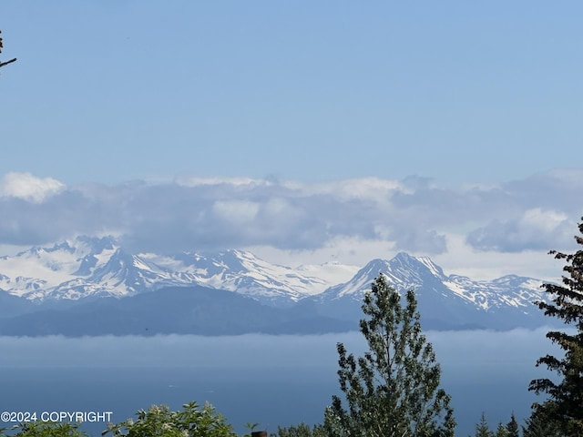 view of mountain feature