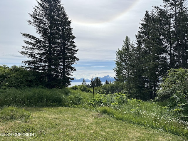 view of local wilderness with a mountain view