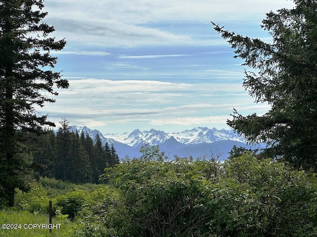 property view of mountains