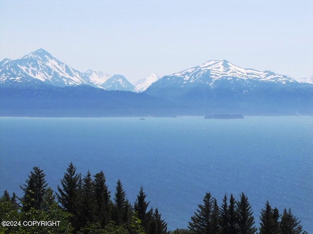 property view of mountains with a water view