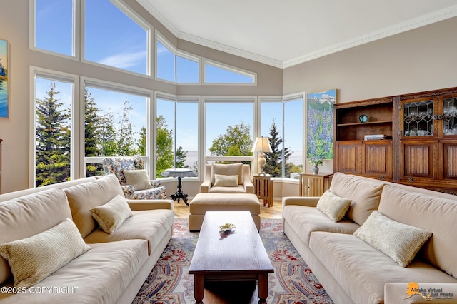 18706 Petrel Cir, Anchorage, AK 99516 - living area with crown molding