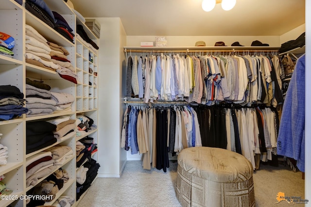 18706 Petrel Cir, Anchorage, AK 99516 - spacious closet featuring carpet