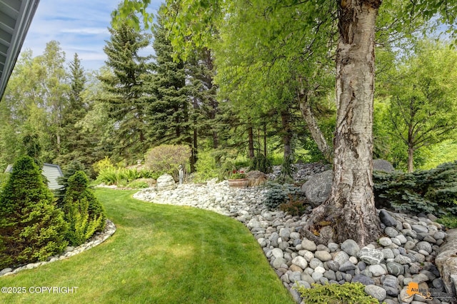 18706 Petrel Cir, Anchorage, AK 99516 - view of grassy yard