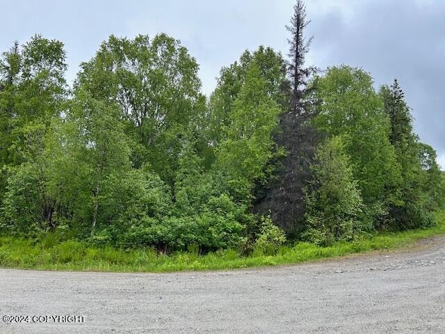 Listing photo 3 for D006 Willas Way, Willow AK 99688