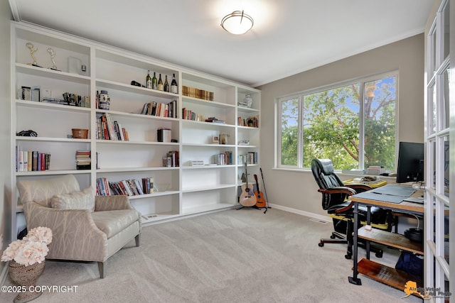 16268 Noble Point Dr, Anchorage, AK 99516 - carpeted home office featuring ornamental molding and baseboards