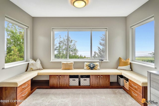 16268 Noble Point Dr, Anchorage, AK 99516 - view of living area